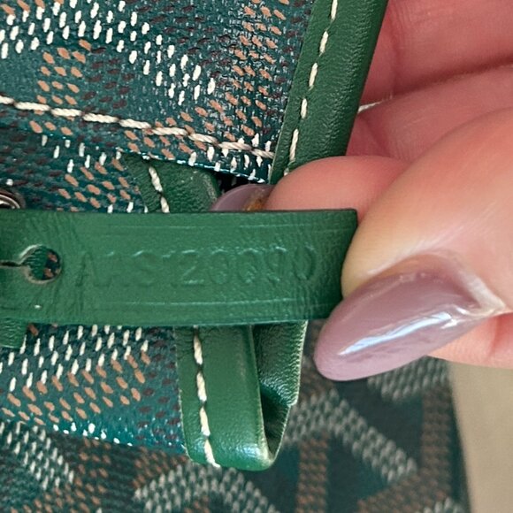 GOYARD Saint Louis PM in Green with Pouch - Picture 8 of 15